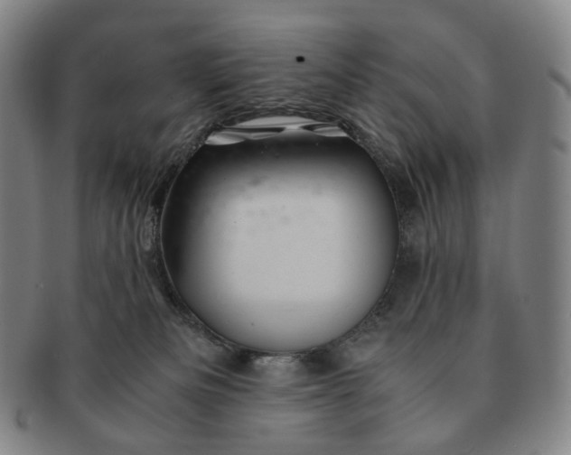 X0000091240133200708301547