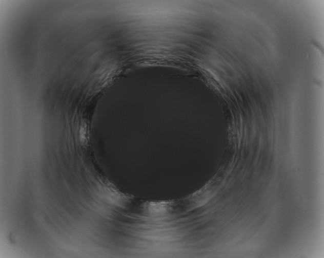 X0000091240134200708301547