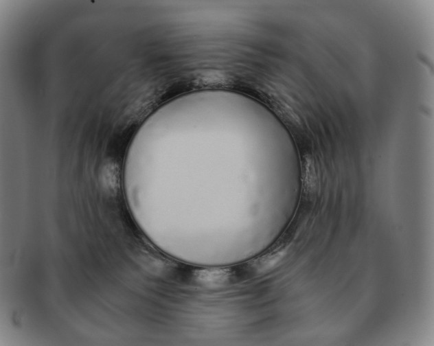 X0000091240135200708301547