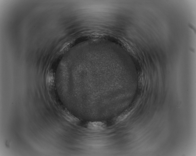 X0000091240137200708301547