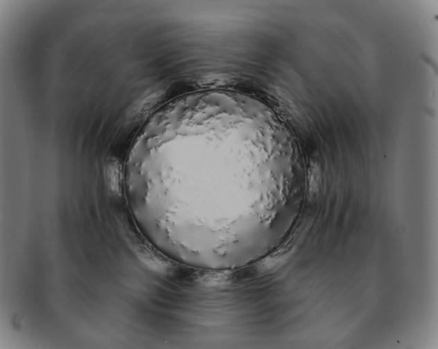 X0000091240138200708301547