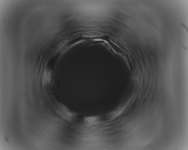 X0000091240139200708301547