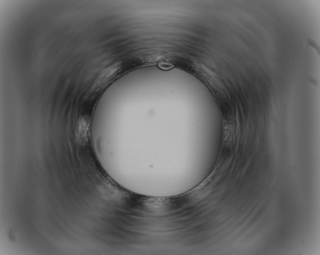 X0000091240142200708301547