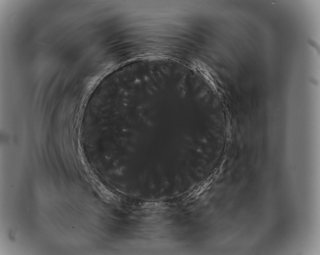 X0000091240145200708301547