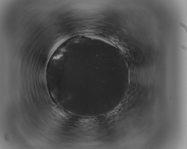 X0000091240147200708301547