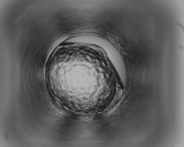 X0000091240148200708301547