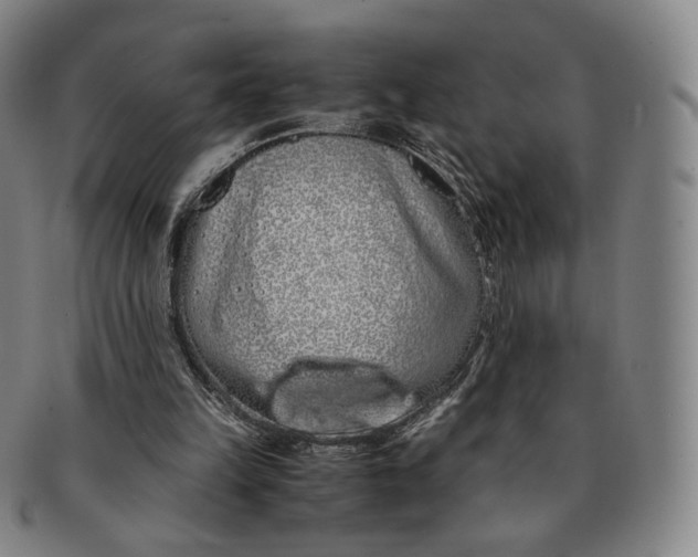 X0000091240149200708301547