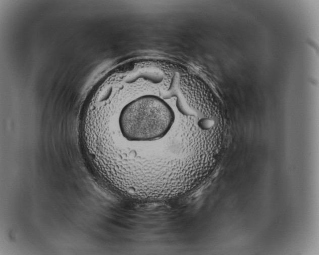 X0000091240151200708301547