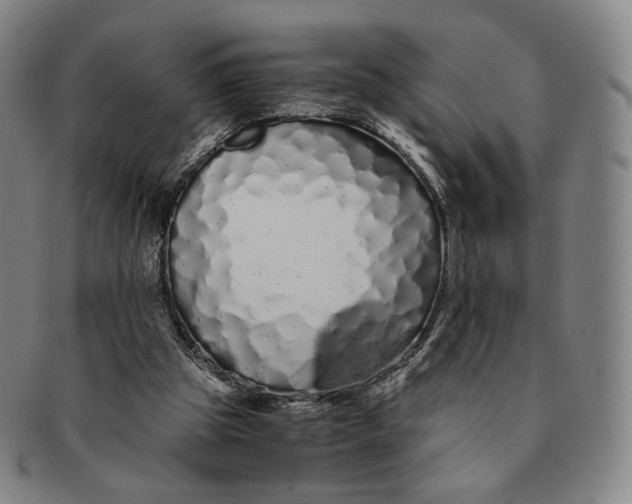 X0000091240153200708301547