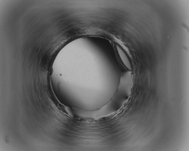 X0000091240154200708301547