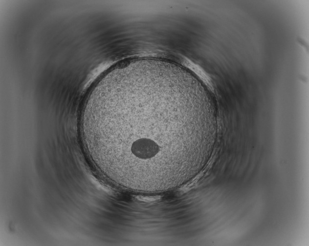 X0000091240155200708301547