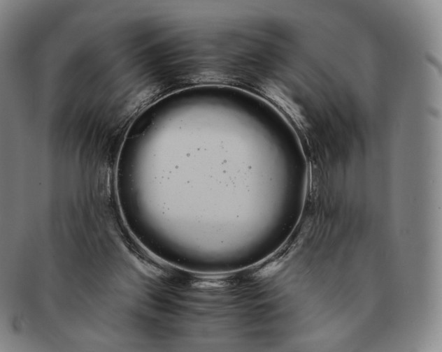 X0000091240157200708301547