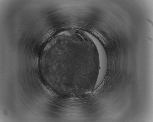 X0000091240158200708301547