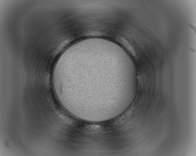 X0000091240159200708301547