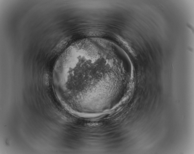 X0000091240161200708301547