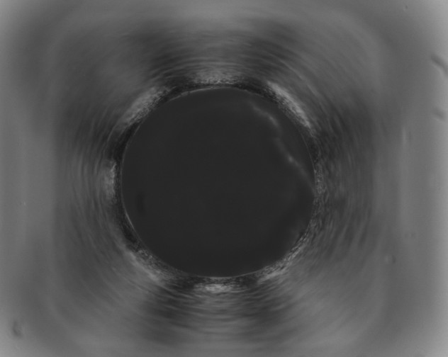 X0000091240163200708301547