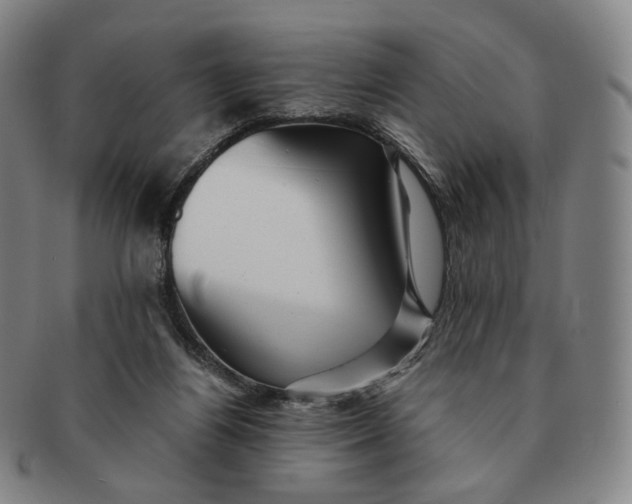 X0000091240164200708301547