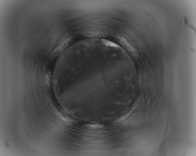 X0000091240165200708301547