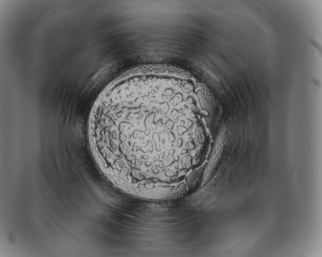 X0000091240166200708301547