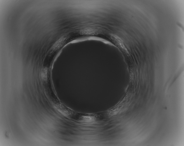 X0000091240167200708301547