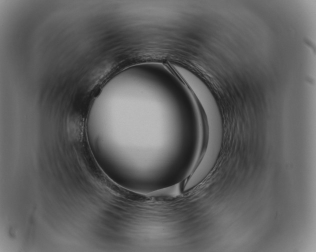 X0000091240168200708301547