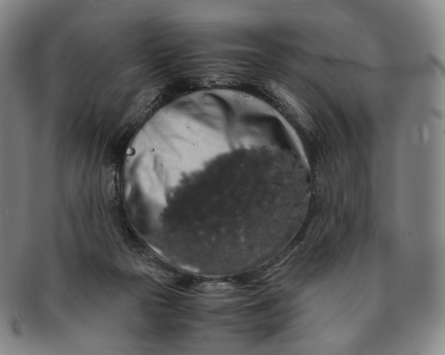 X0000091240169200708301547