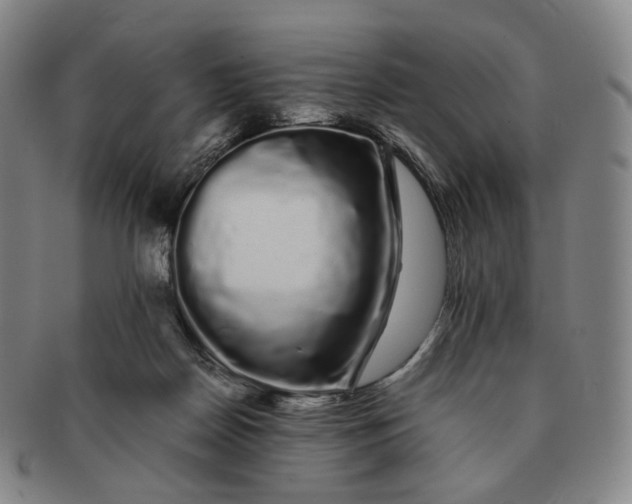 X0000091240170200708301547