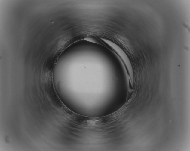 X0000091240172200708301547