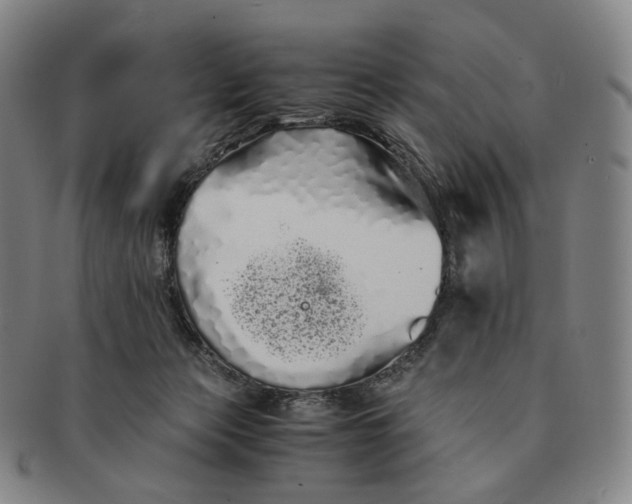 X0000091240173200708301547