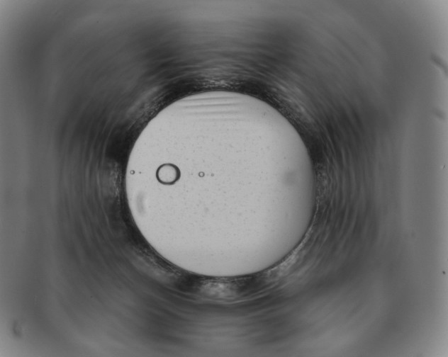 X0000091240174200708301547