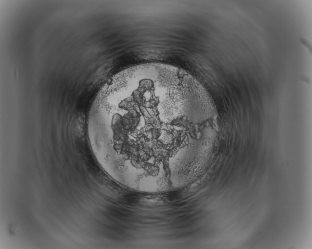 X0000091240175200708301547