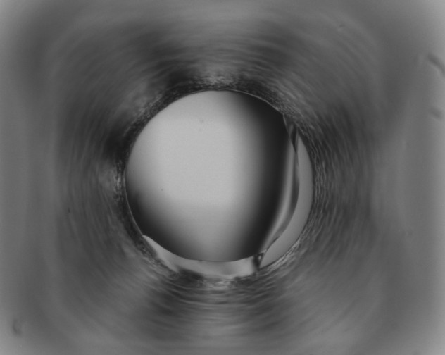 X0000091240176200708301547