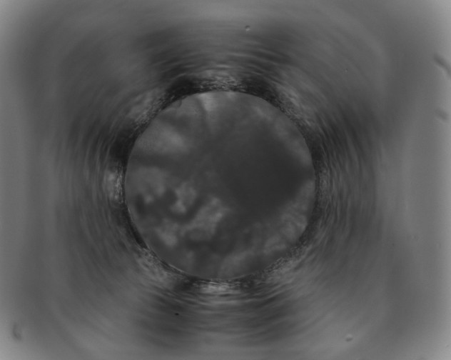 X0000091240177200708301547