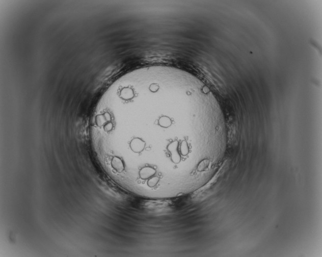 X0000091240179200708301547