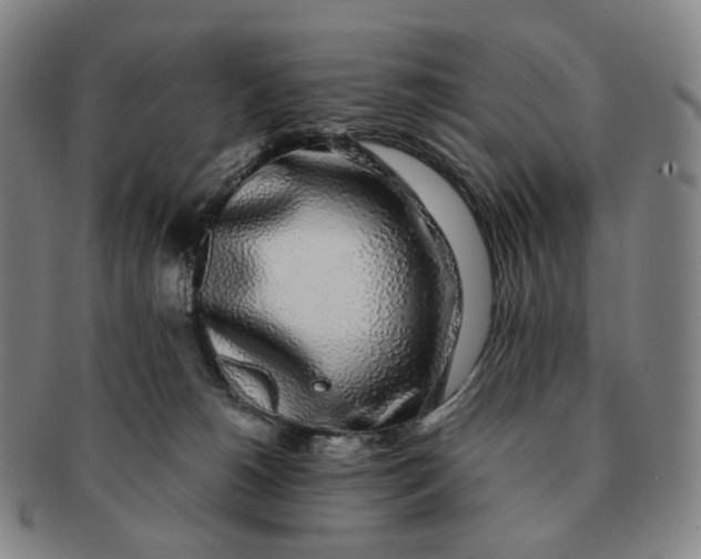 X0000091240180200708301547