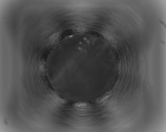 X0000091240181200708301547