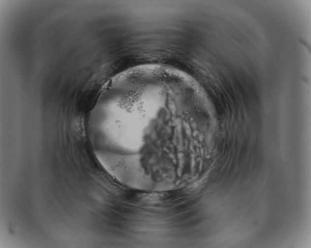 X0000091240182200708301547