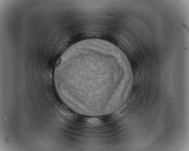 X0000091240183200708301547