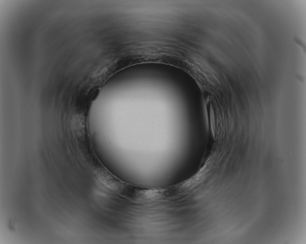 X0000091240184200708301547