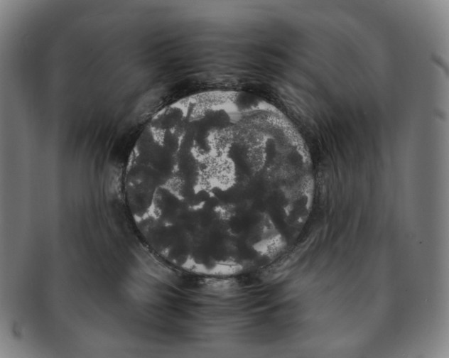 X0000091240185200708301547