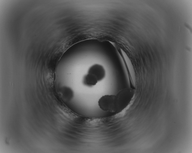 X0000091240186200708301547