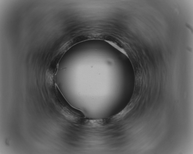 X0000091240188200708301547