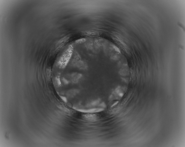 X0000091240189200708301547