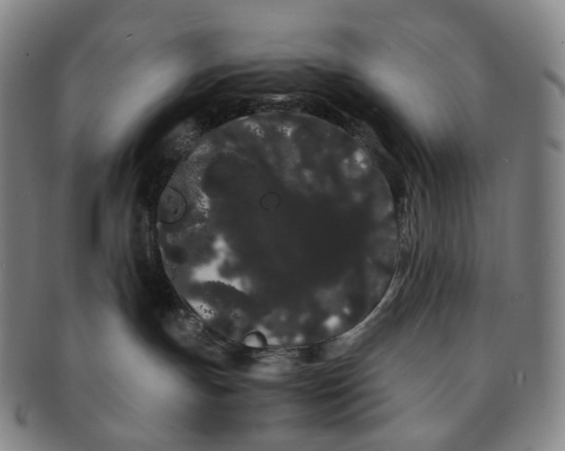 X0000091240191200708301547