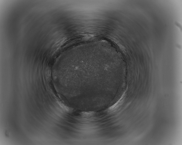 X0000091240192200708301547