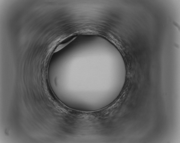 X0000091240193200708301546