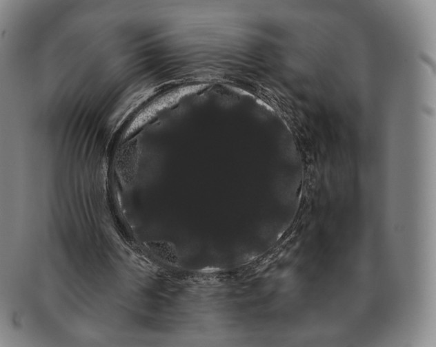 X0000091240194200708301546