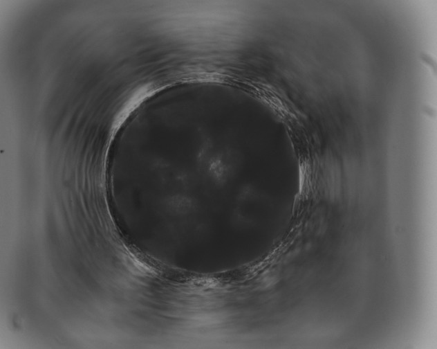 X0000091240195200708301546