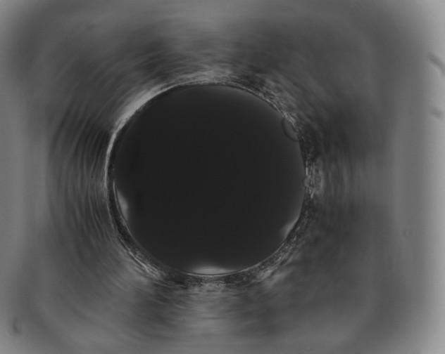 X0000091240196200708301546