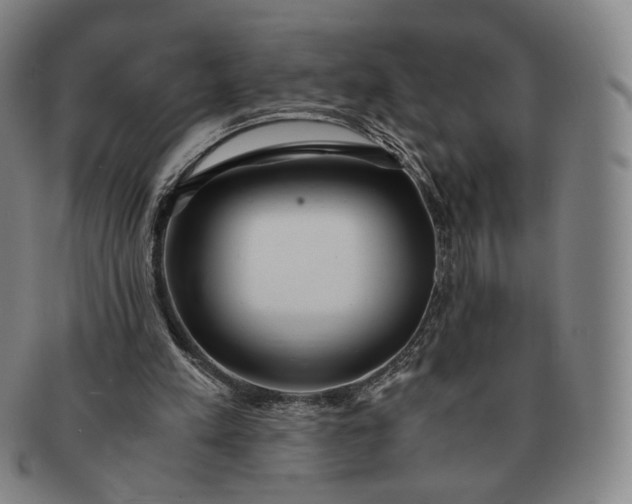 X0000091240197200708301546